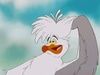 scuttle1